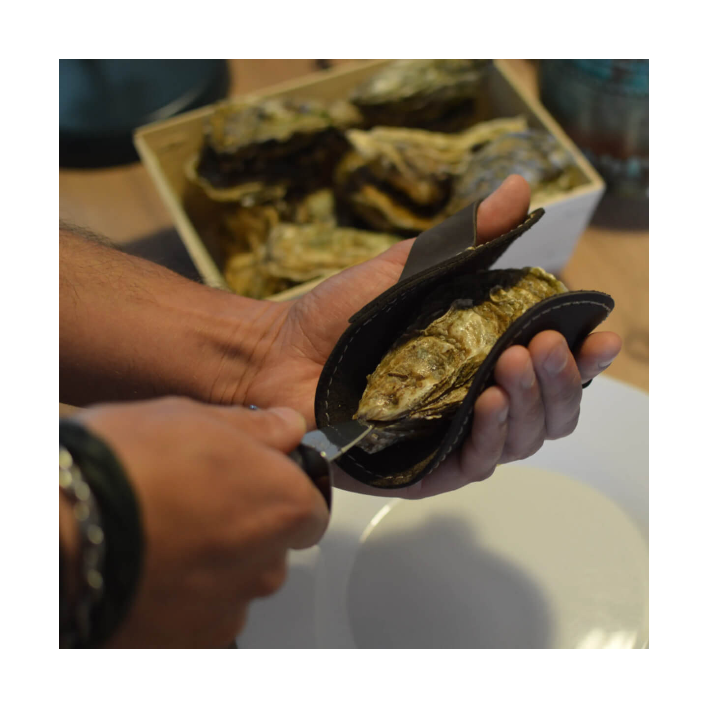 Garosa gants de couteau d'écaillage d'huîtres Couteau à huîtres